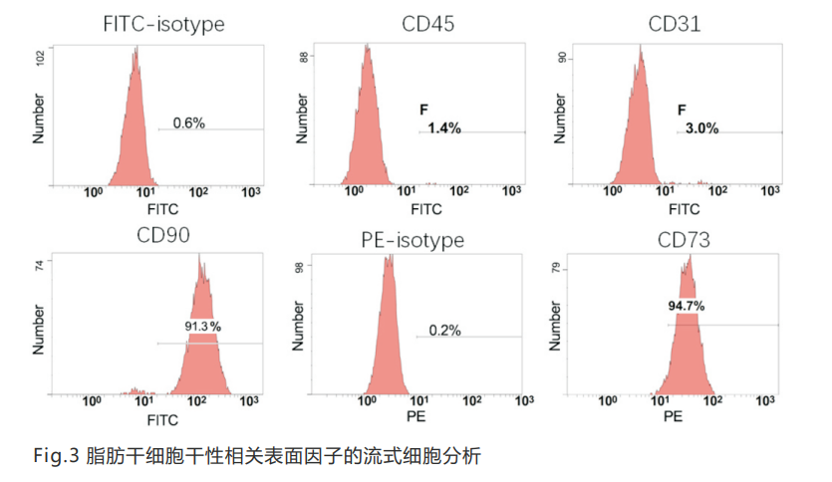 图片 10.png