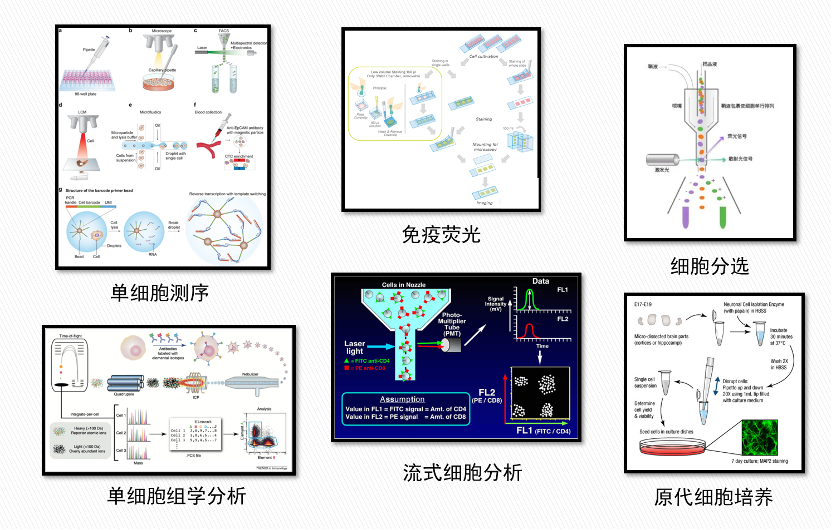 图片 13.png